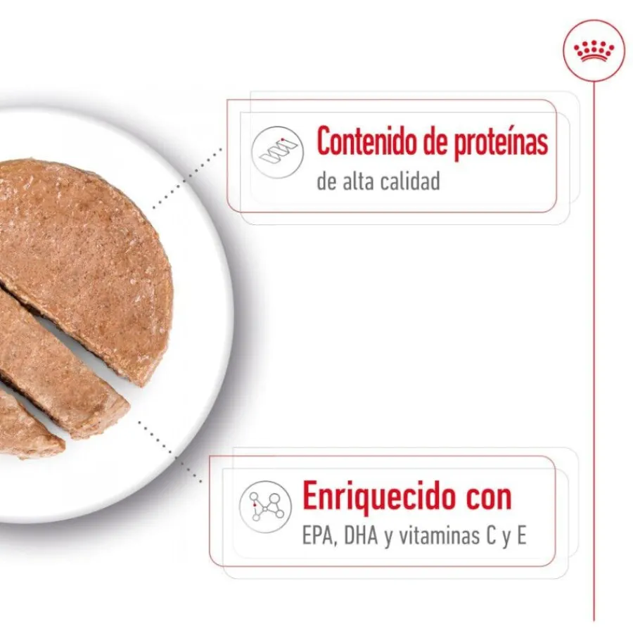 Royal Canin Medium 7+ Ageing lata para perros Clearance