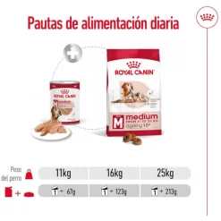 Royal Canin Medium 7+ Ageing lata para perros Clearance