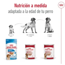 Royal Canin Medium 7+ Ageing lata para perros Clearance