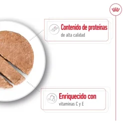 Royal Canin Medium Adult Paté lata para perros Outlet