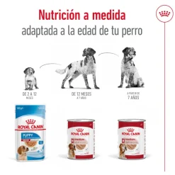 Royal Canin Medium Adult Paté lata para perros Outlet