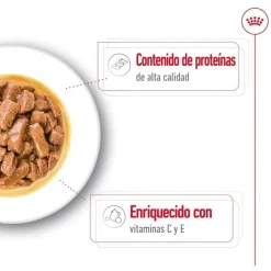 Royal Canin Medium Adult Sobre en salsa para perros Discount