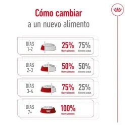 Royal Canin Medium Adult pienso para perros Outlet