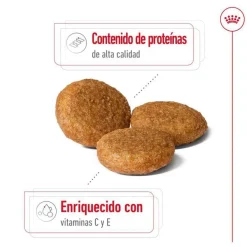 Royal Canin Medium Adult pienso para perros Outlet