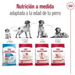 Royal Canin Medium Adult pienso para perros Outlet