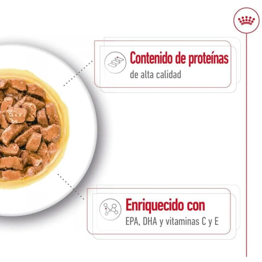 Royal Canin Medium Ageing sobre en salsa para perros Online