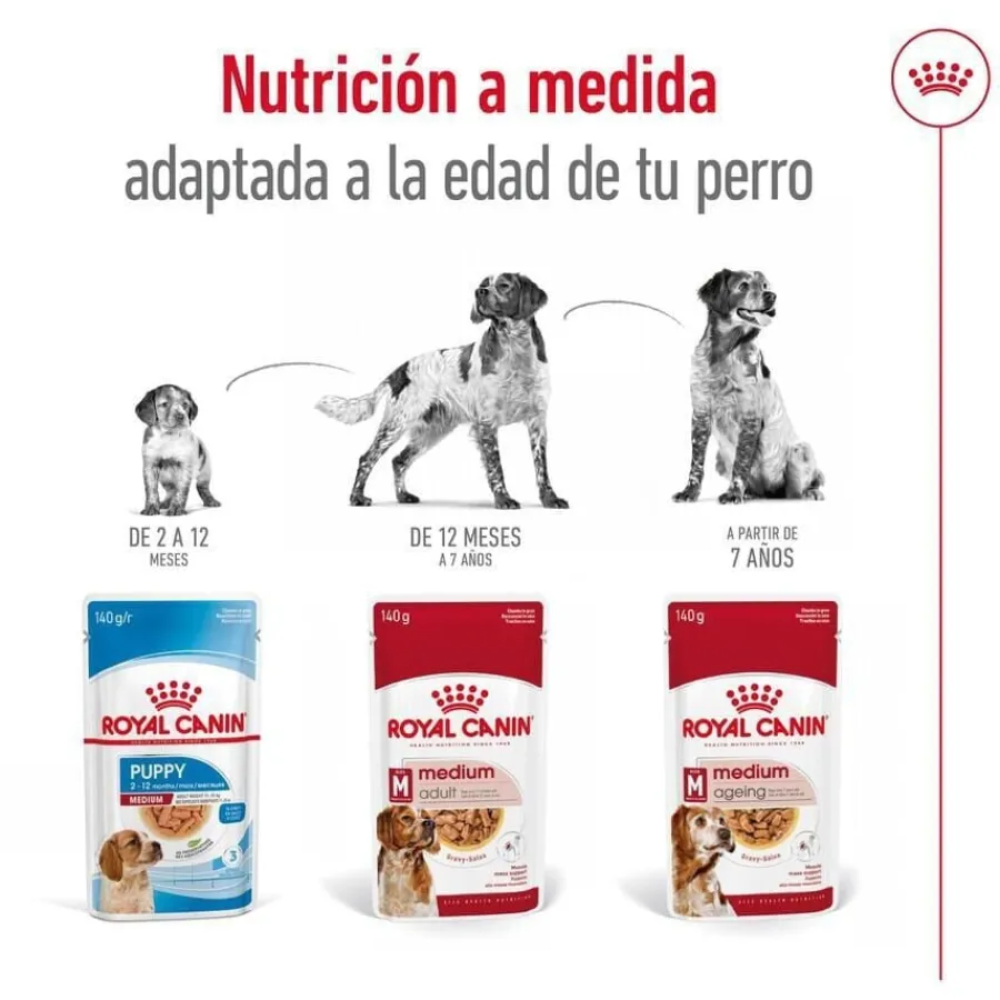 Royal Canin Medium Ageing sobre en salsa para perros Online