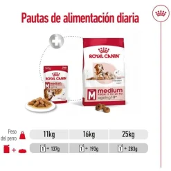 Royal Canin Medium Ageing sobre en salsa para perros Online