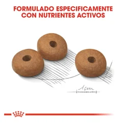 Royal Canin Medium Light Weight Care pienso para perros New