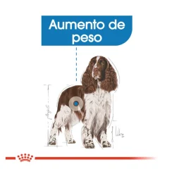 Royal Canin Medium Light Weight Care pienso para perros New