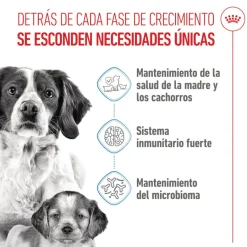 Royal Canin Medium Starter Mother&Baby pienso para perros Clearance