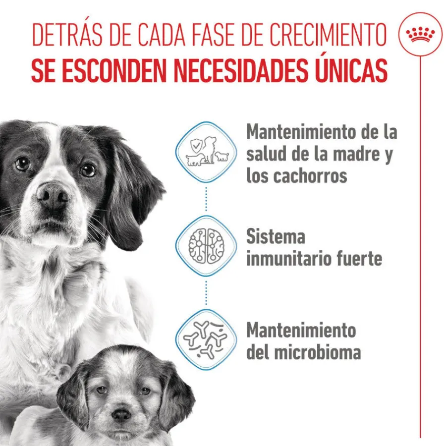 Royal Canin Medium Starter Mother&Baby pienso para perros Clearance