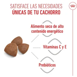 Royal Canin Medium Starter Mother&Baby pienso para perros Clearance