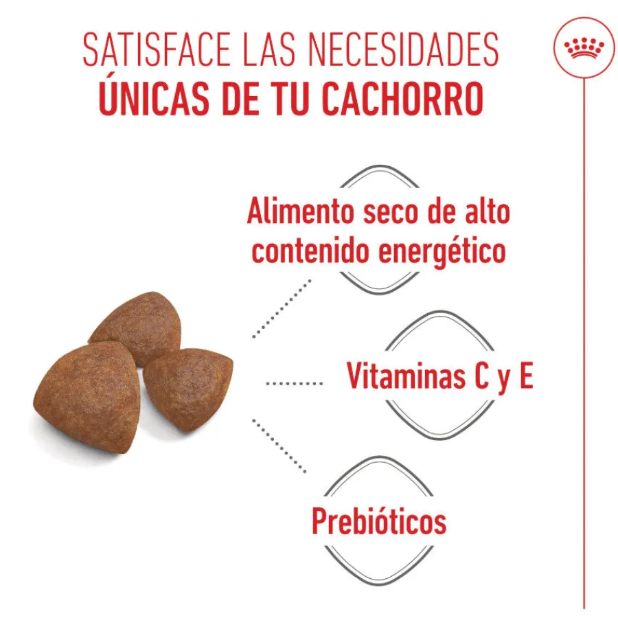 Royal Canin Medium Starter Mother&Baby pienso para perros Clearance