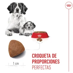 Royal Canin Medium Starter Mother&Baby pienso para perros Clearance