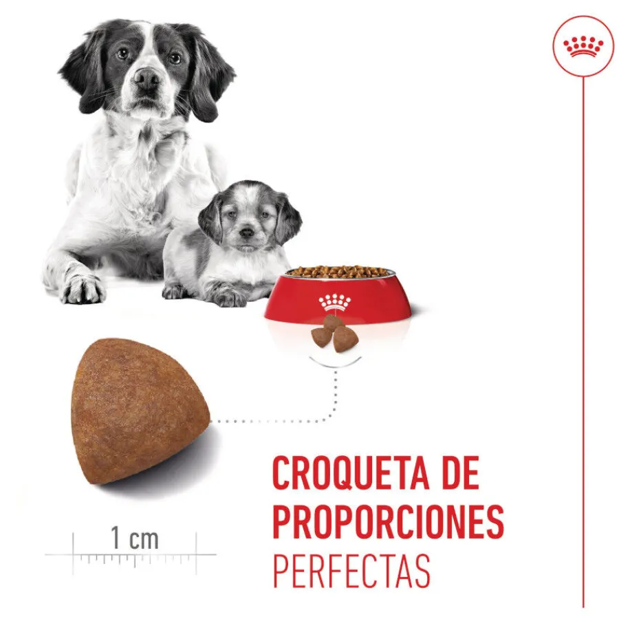 Royal Canin Medium Starter Mother&Baby pienso para perros Clearance
