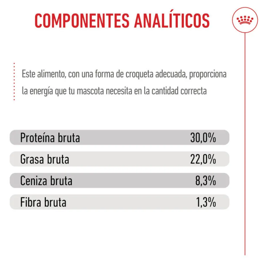 Royal Canin Medium Starter Mother&Baby pienso para perros Clearance