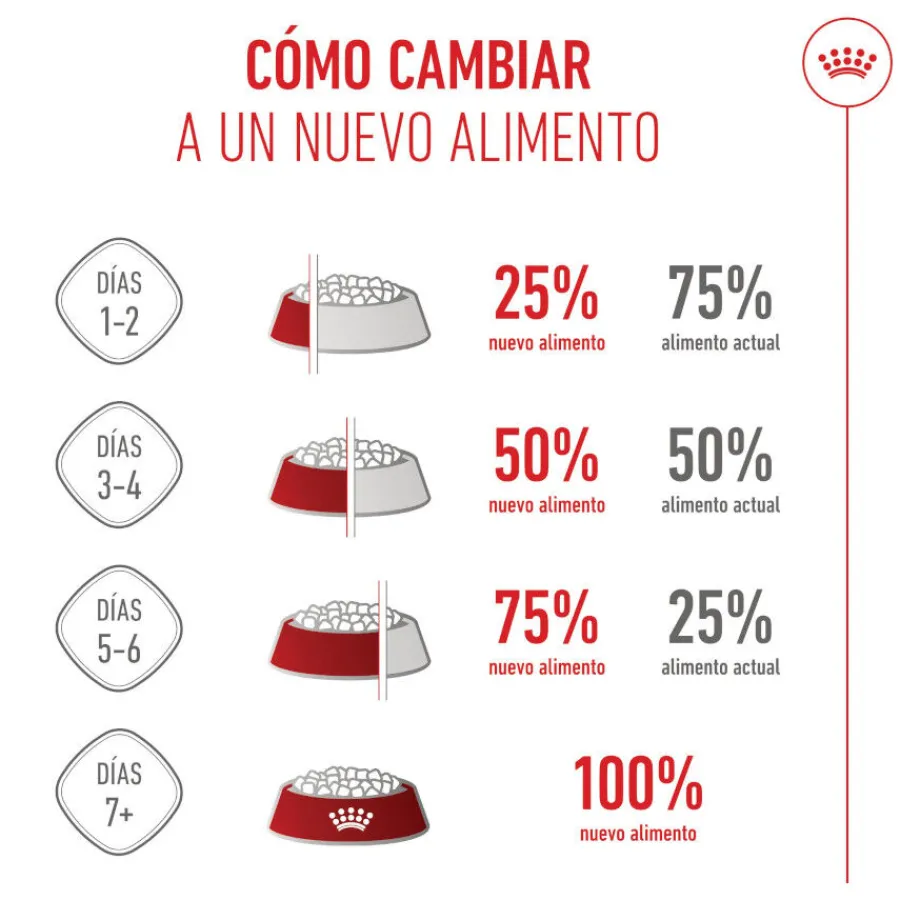 Royal Canin Medium Starter Mother&Baby pienso para perros Clearance