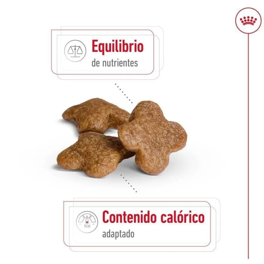 Royal Canin Mini 8+ Adult pienso para perros New
