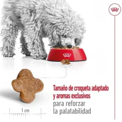 Royal Canin Mini 8+ Adult pienso para perros New