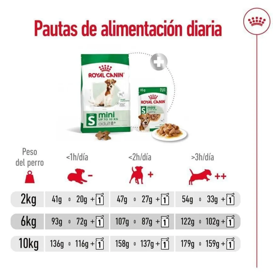 Royal Canin Mini 8+ Adult pienso para perros New