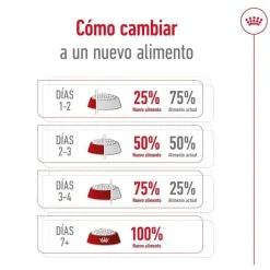 Royal Canin Mini 8+ Adult pienso para perros New