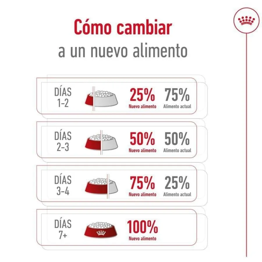 Royal Canin Mini 8+ Adult pienso para perros New