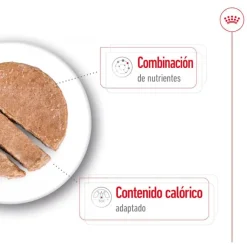 Royal Canin Mini 8+ Ageing lata para perros Discount