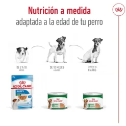 Royal Canin Mini 8+ Ageing lata para perros Discount