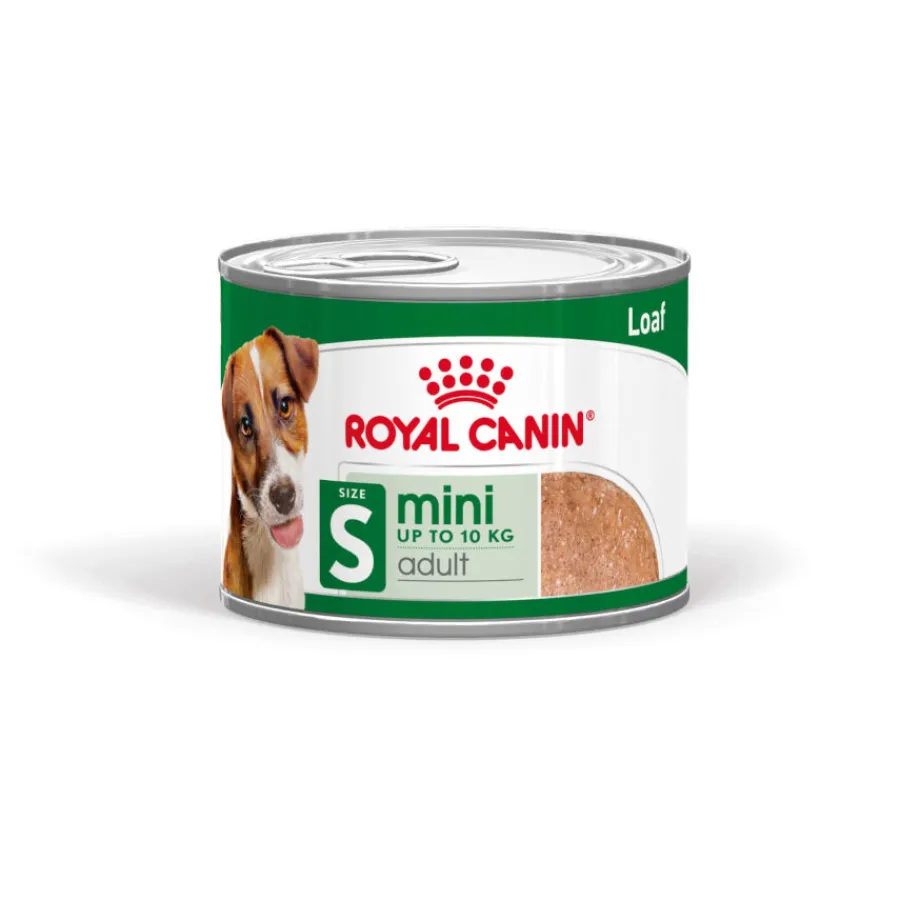 Royal Canin Mini Adult Paté lata para perros Clearance