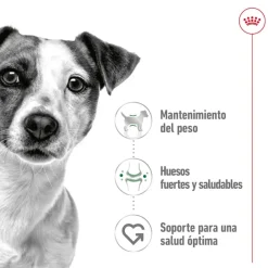 Royal Canin Mini Adult Paté lata para perros Clearance