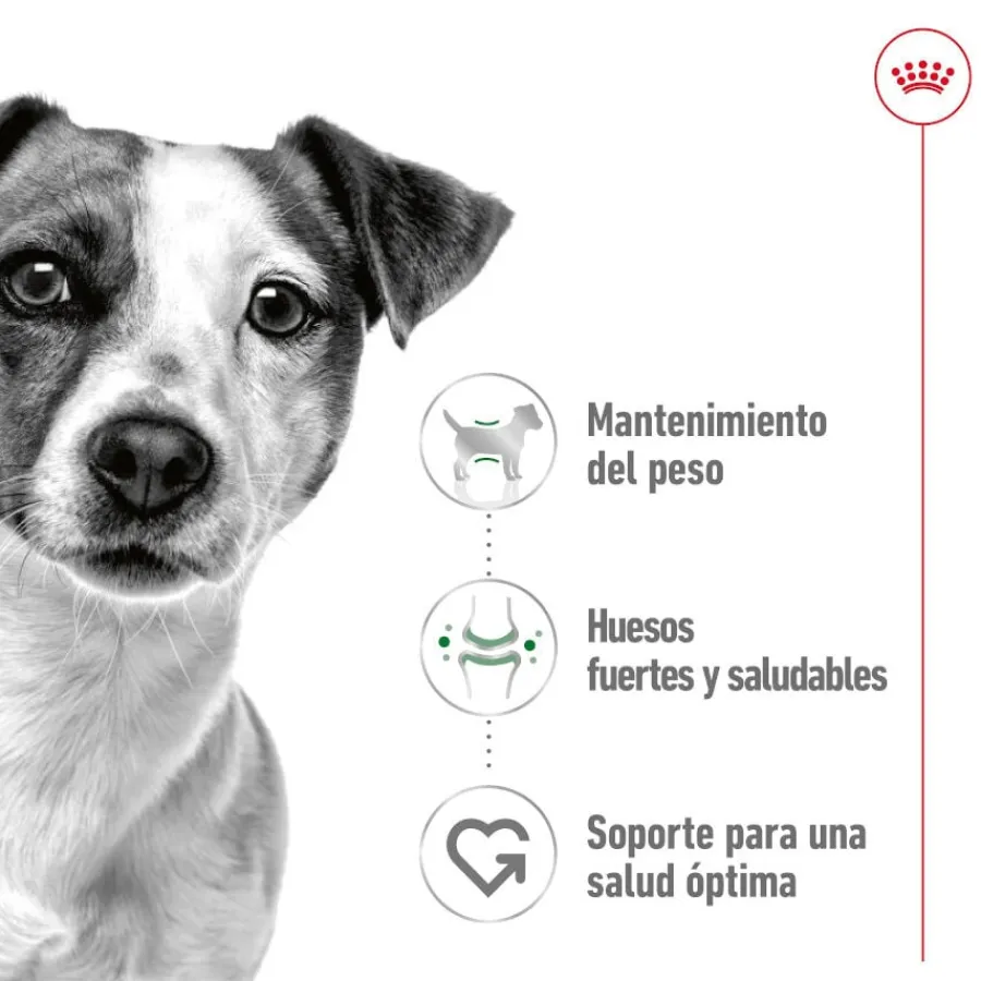Royal Canin Mini Adult Paté lata para perros Clearance
