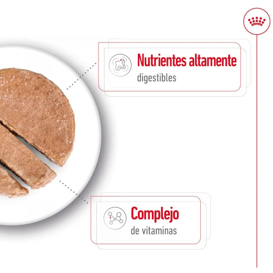 Royal Canin Mini Adult Paté lata para perros Clearance