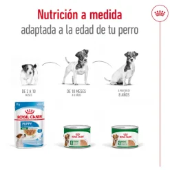 Royal Canin Mini Adult Paté lata para perros Clearance