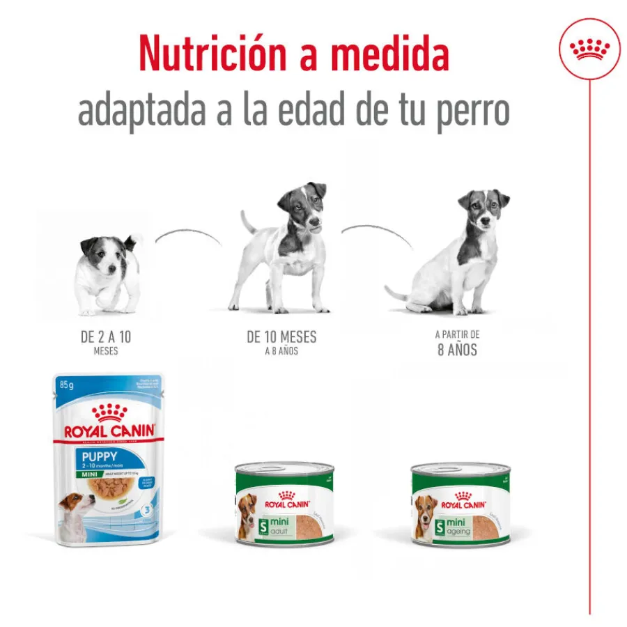 Royal Canin Mini Adult Paté lata para perros Clearance