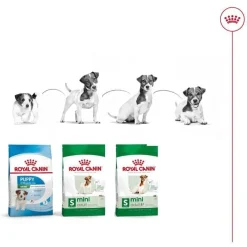Royal Canin Mini Adult pienso para perros Clearance