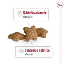 Royal Canin Mini Adult pienso para perros Clearance