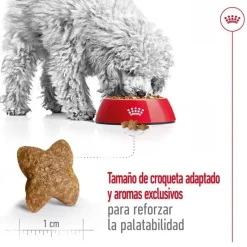 Royal Canin Mini Adult pienso para perros Clearance