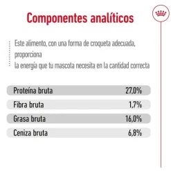 Royal Canin Mini Adult pienso para perros Clearance