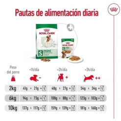 Royal Canin Mini Adult pienso para perros Clearance