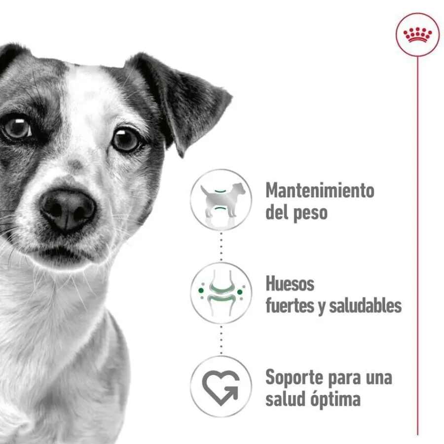 Royal Canin Mini Adult sobre en salsa para perros Best
