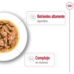 Royal Canin Mini Adult sobre en salsa para perros Best