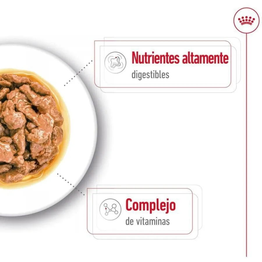 Royal Canin Mini Adult sobre en salsa para perros Best