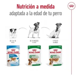 Royal Canin Mini Adult sobre en salsa para perros Best