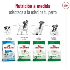 Royal Canin Mini Ageing +12 pienso para perros Discount