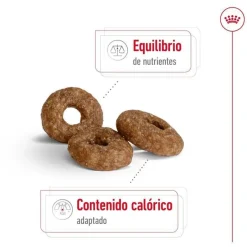 Royal Canin Mini Ageing +12 pienso para perros Discount