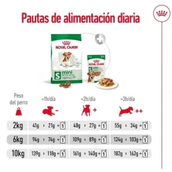 Royal Canin Mini Ageing +12 pienso para perros Discount