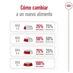 Royal Canin Mini Ageing +12 pienso para perros Discount