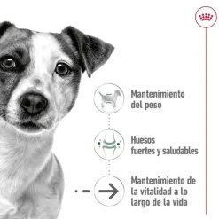Royal Canin Mini Ageing sobres en salsa para perros Discount