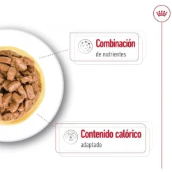 Royal Canin Mini Ageing sobres en salsa para perros Discount